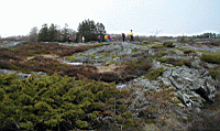 P5030032.jpg